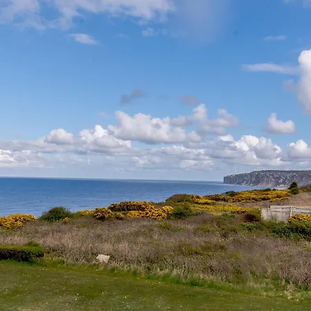 Hunroe Brow Tatil Evi *